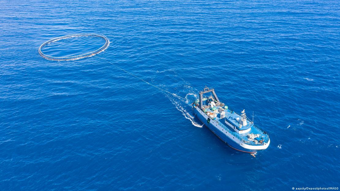 Fishers are struggling to compete with bigger boats that take a bigger catch