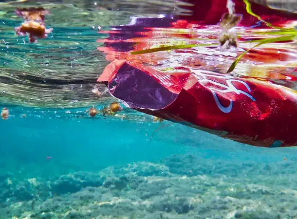 These are the top environmental threats to the Mediterranean
