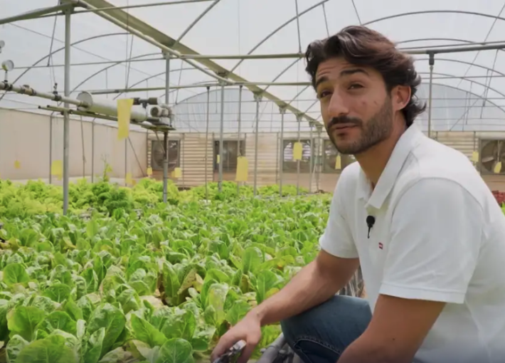 A Libyan farmer growing organic food in desert conditions