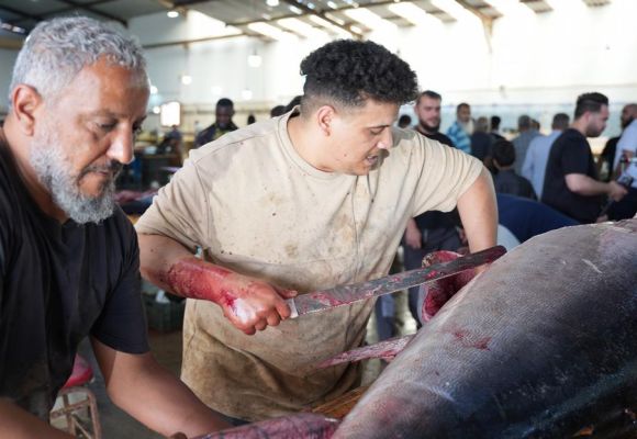 Saving Lives in the Mediterranean: A Mission That Requires North–South Cooperation