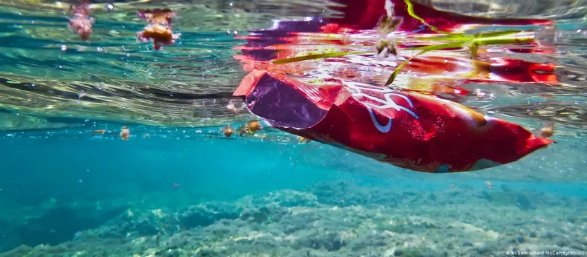 These are the top environmental threats to the Mediterranean