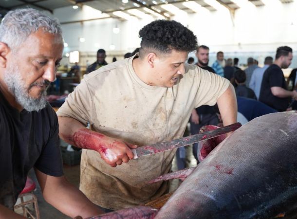 Saving Lives in the Mediterranean: A Mission That Requires North–South Cooperation