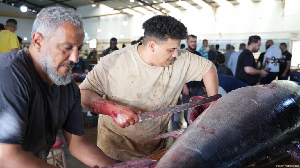Saving Lives in the Mediterranean: A Mission That Requires North–South Cooperation