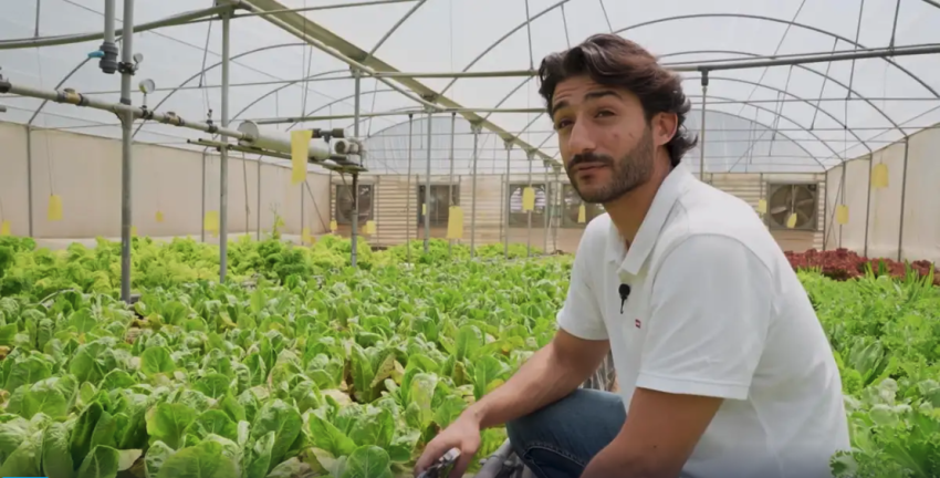 A Libyan farmer growing organic food in desert conditions