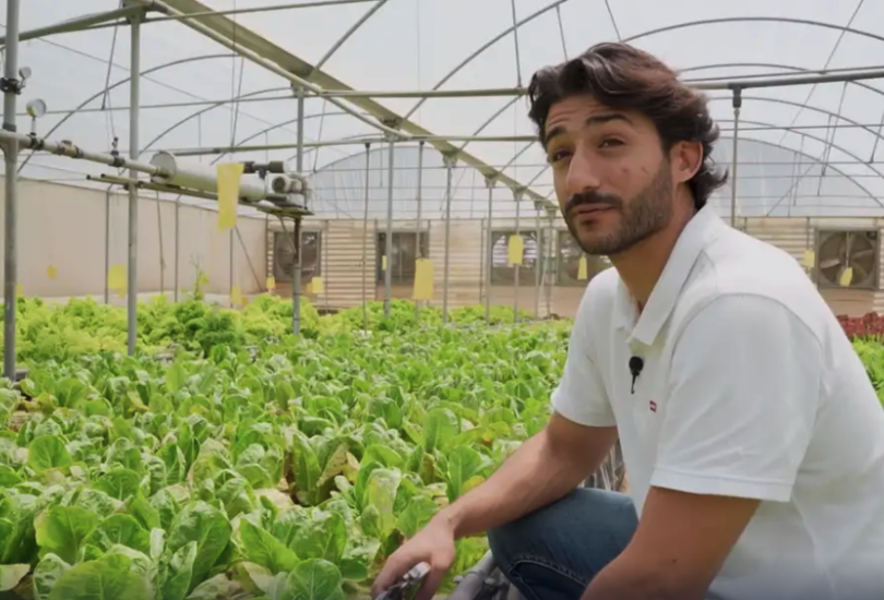 A Libyan farmer growing organic food in desert conditions